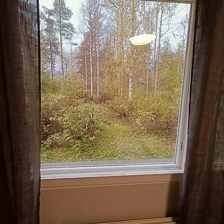 Lingonberry * Rovaniemi