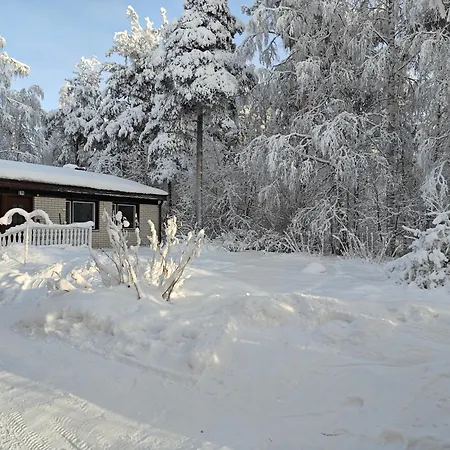 Lingonberry * Rovaniemi