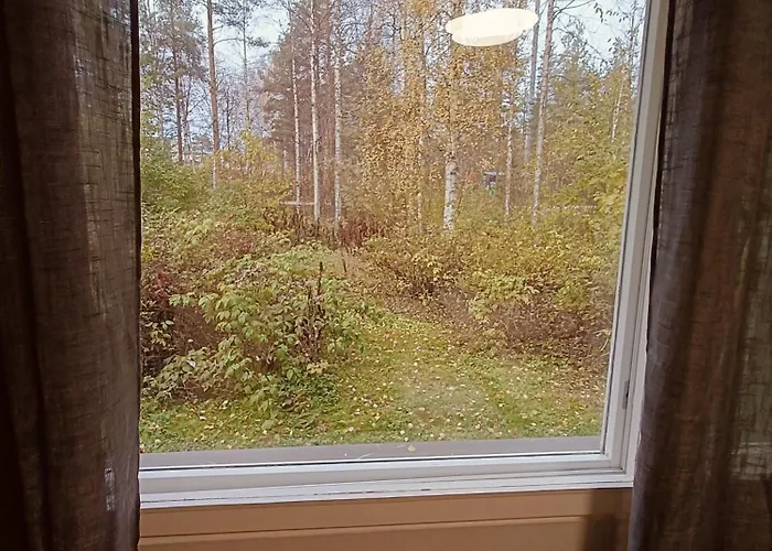 Lingonberry * Rovaniemi