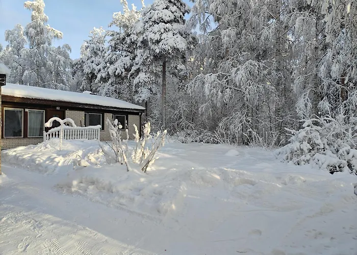 Lingonberry * Rovaniemi