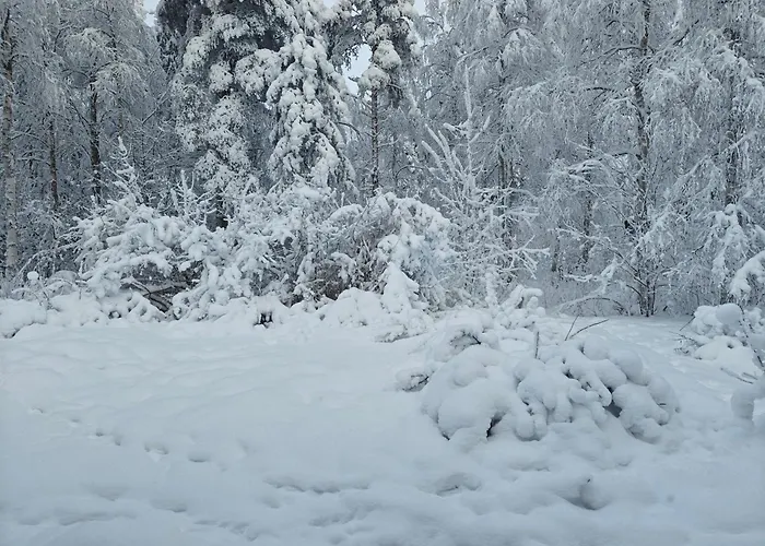 Вилла Lingonberry *